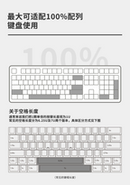 DesignerStudio Plate Stabs (100%) Clip-on